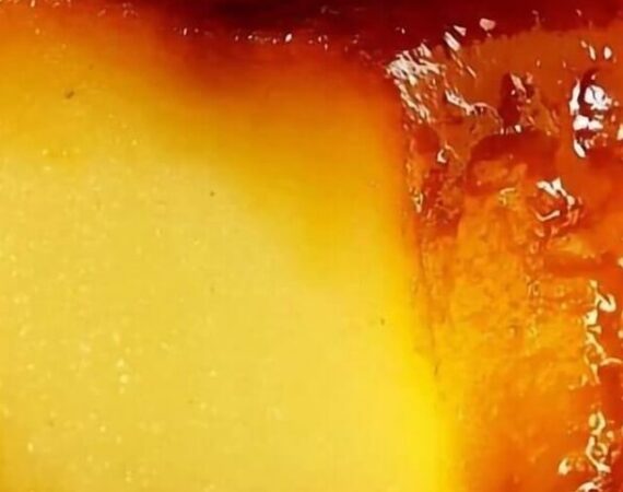 Pudim-de-padaria-e-uma-opcao-de-sobremesa-deliciosa-facil-de-fazer